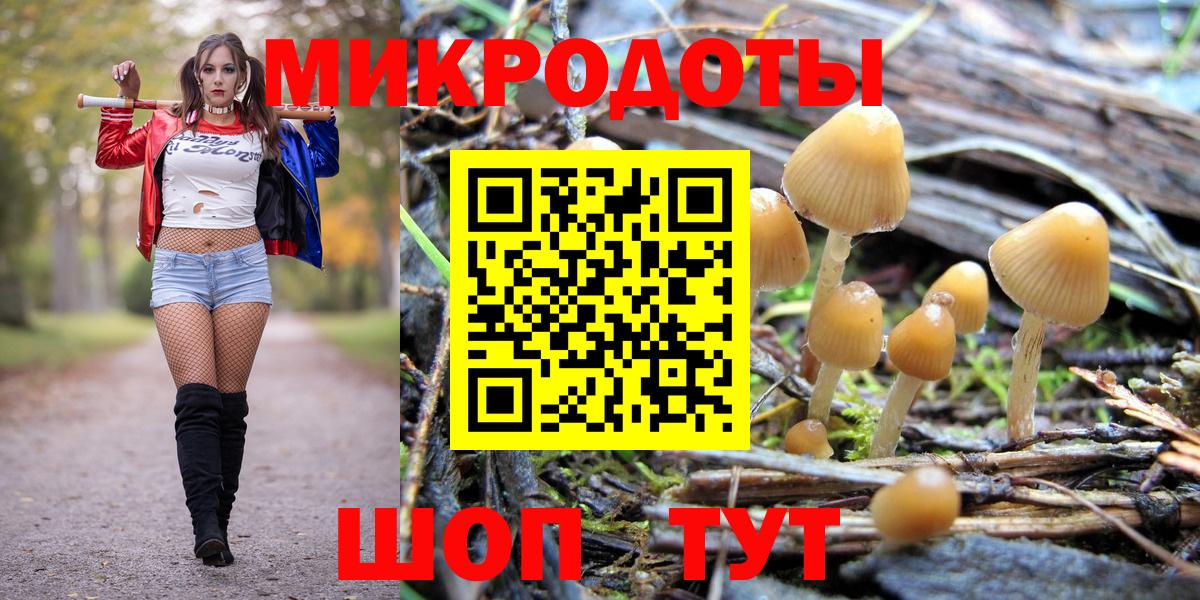 Псилоцибиновые грибы прущие грибы Тольятти