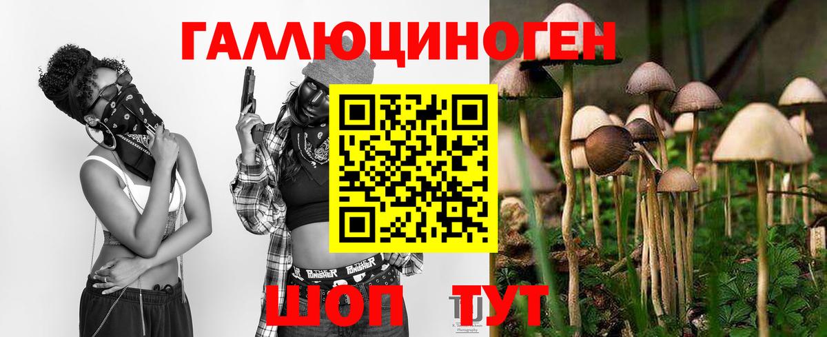 Галлюциногенные грибы MAGIC MUSHROOMS  Галлюциногенные грибы Magic Shrooms  Вход с VPN  как найти   Тольятти 